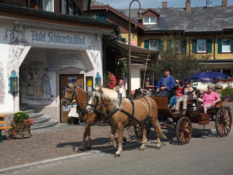 Schwarzwaldhof image