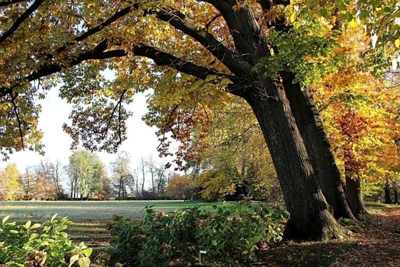 Villa Doria il Torrione image