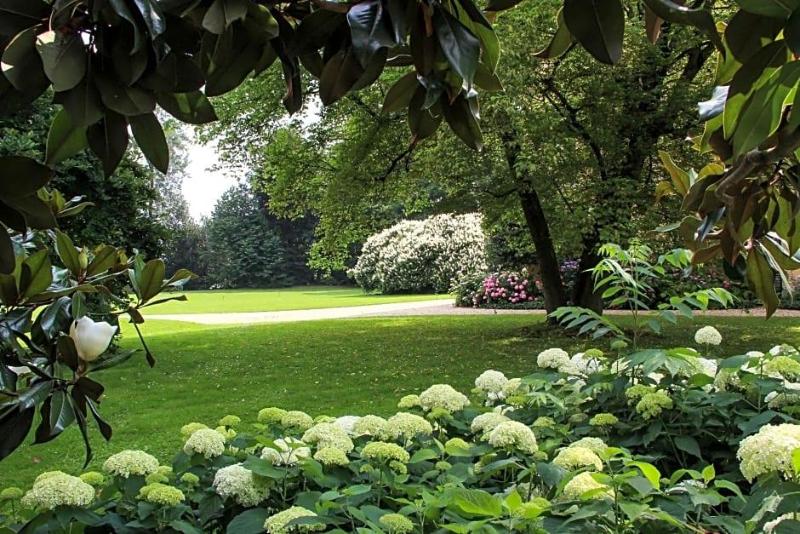 Villa Doria il Torrione image