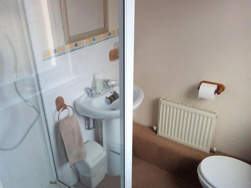Bryn Coed Guest House image