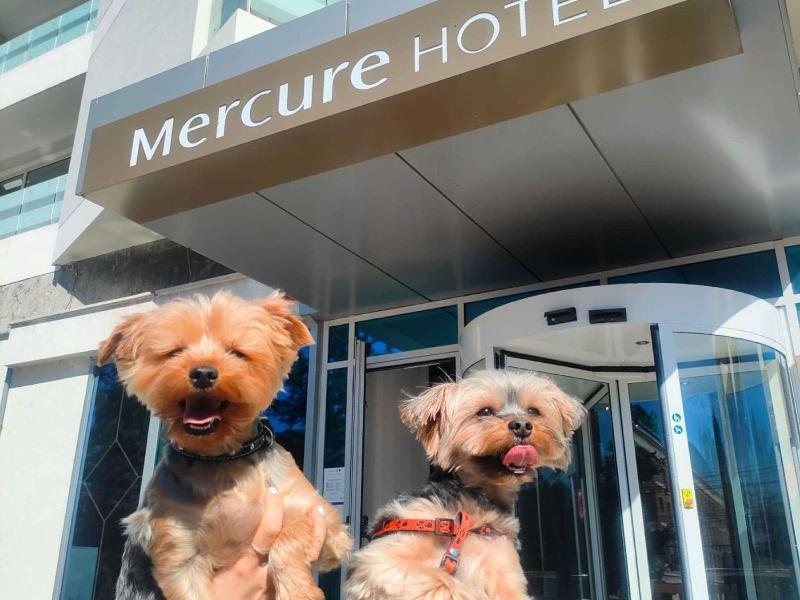 Mercure Galati Centrum image