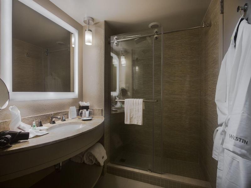 The Westin Tampa Waterside image