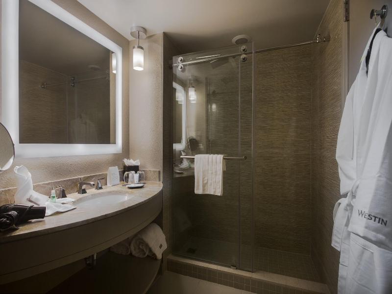 The Westin Tampa Waterside image