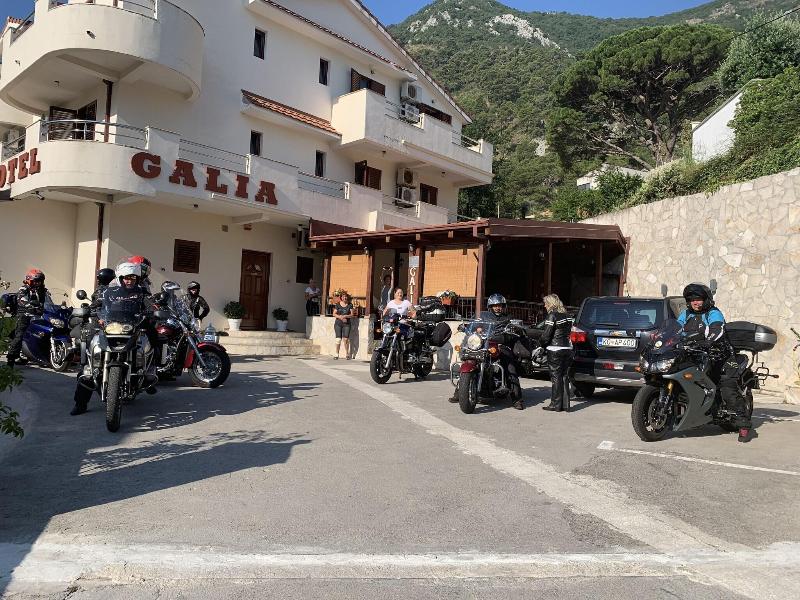 Galia image