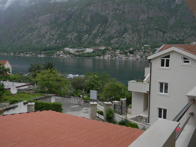 Galia image