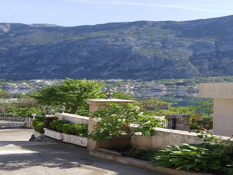 Galia image