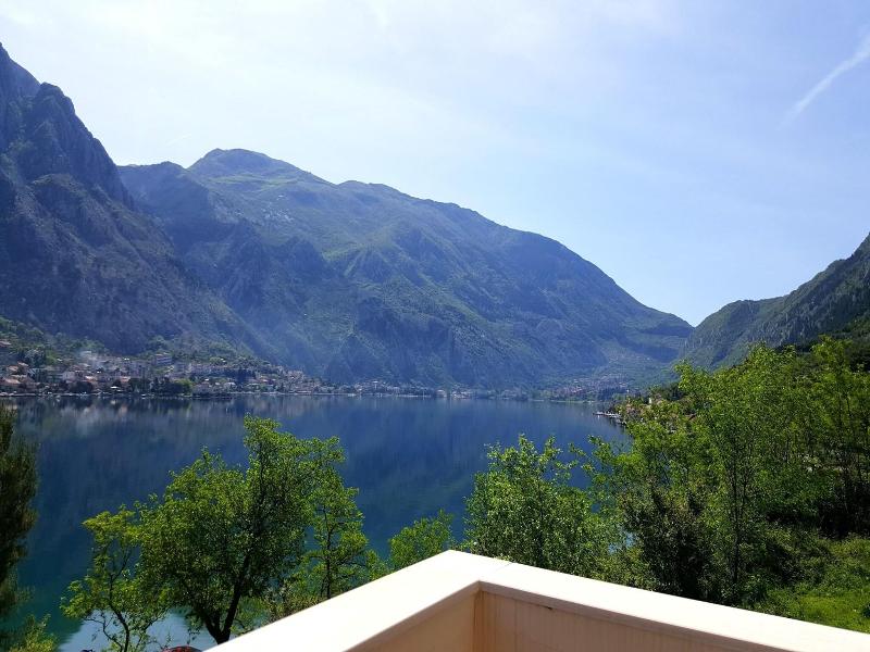 Galia image