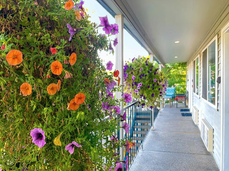 Resort City Inn Coeur d'Alene image
