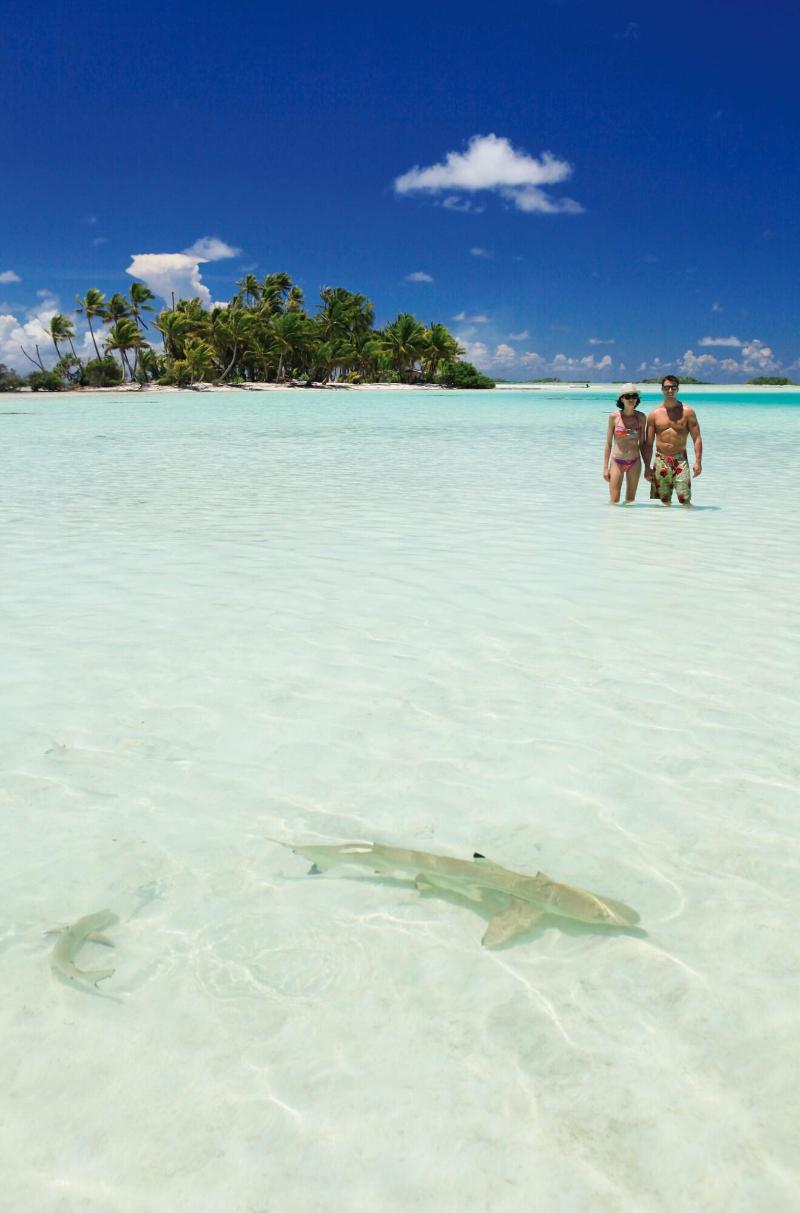 Hotel Kia Ora Resort & Spa Rangiroa image