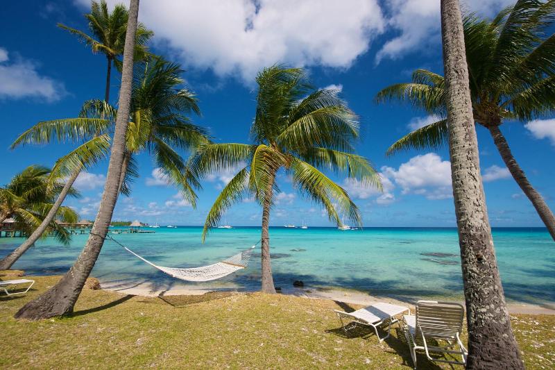 Hotel Kia Ora Resort & Spa Rangiroa image