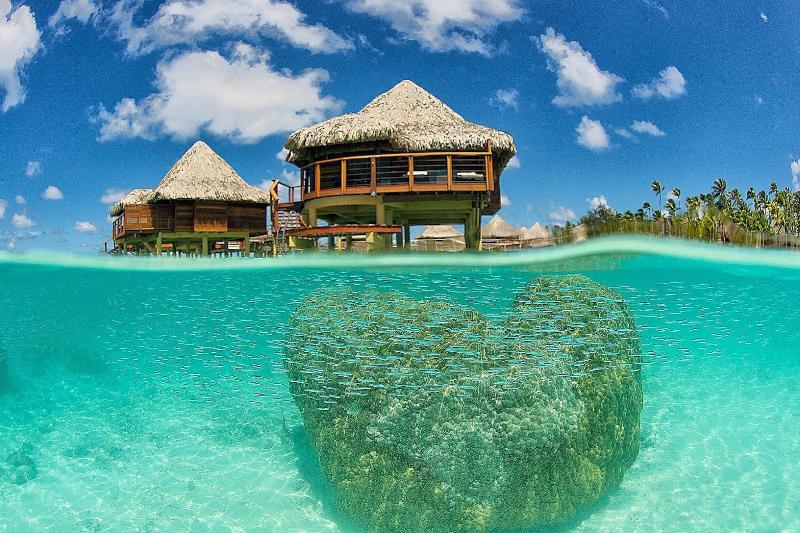 Hotel Kia Ora Resort & Spa Rangiroa image