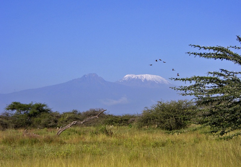 Severin Safari Camp — photo 4