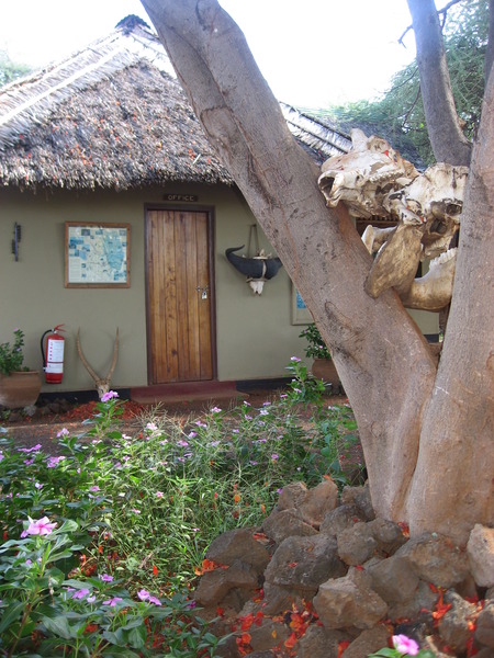 Severin Safari Camp — photo 5