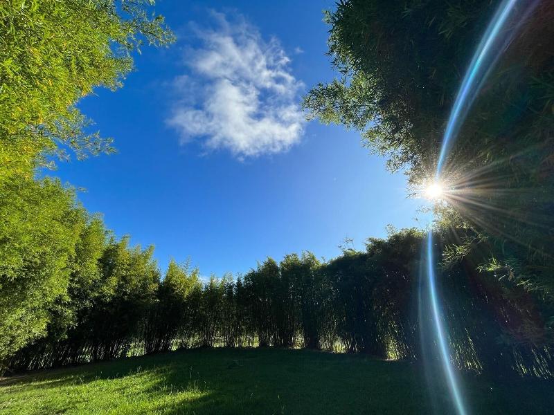 Fazenda Catucaba