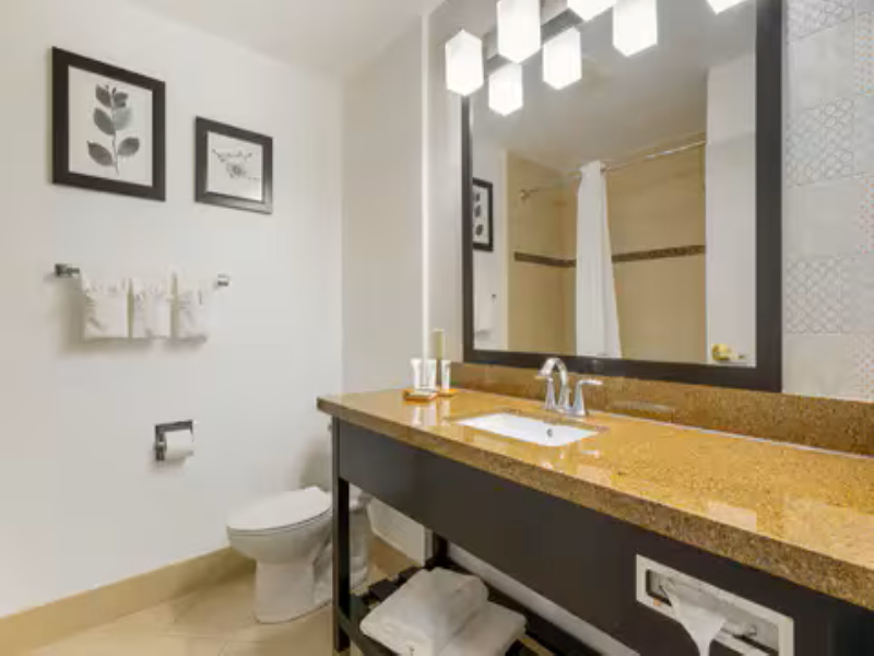 Country Inn & Suites, Tampa Airport image