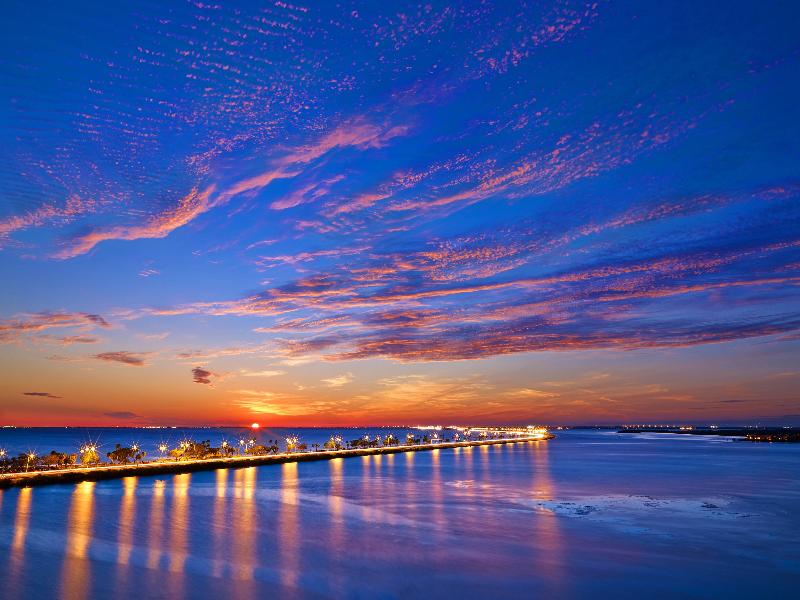 The Westin Tampa Bay image
