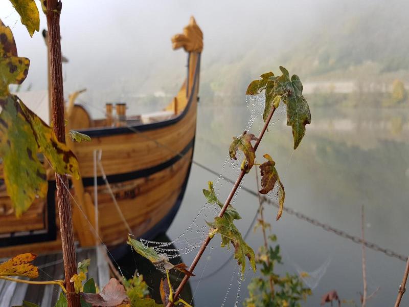 Zum Anker image