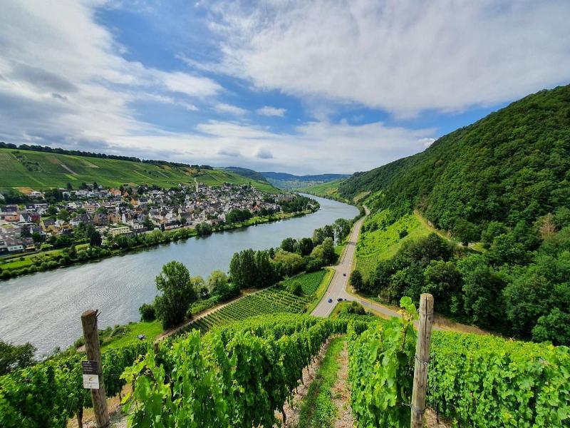 Zum Anker image
