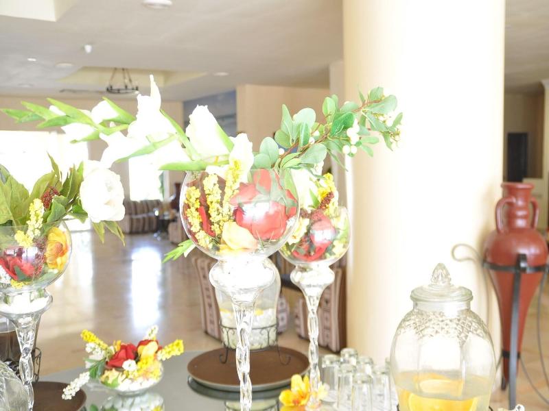Tergui image