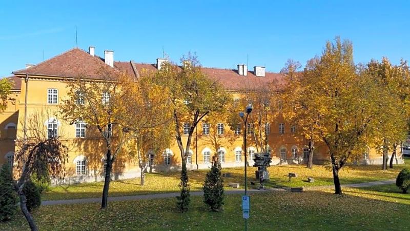 Central image