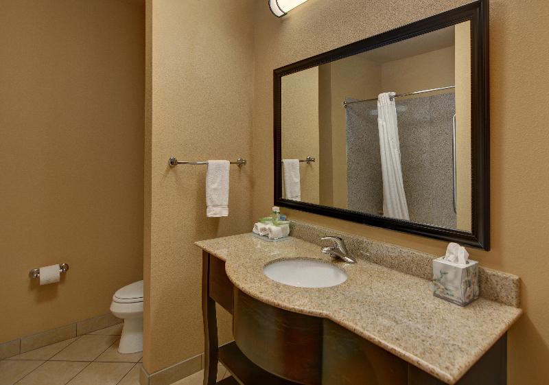 Holiday Inn Express & Suites Tyler South photo 22
