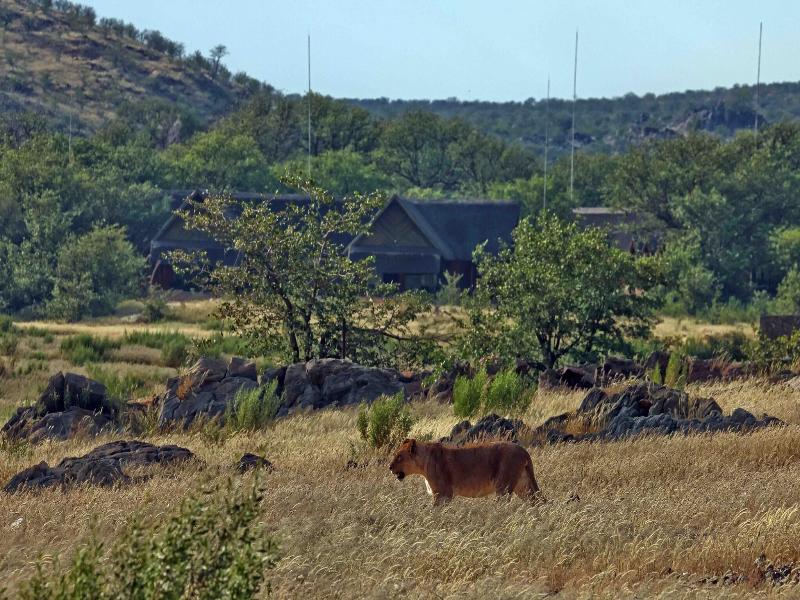 Hobatere Lodge