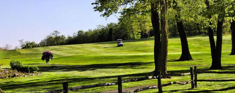 Historic Summit Inn Resort image