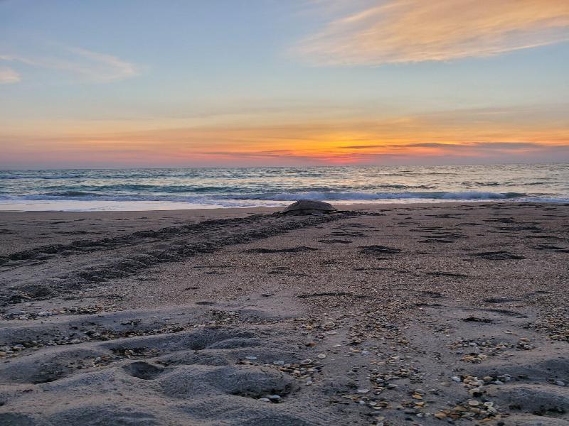 Tuckaway Shores Oceanfront Resort image