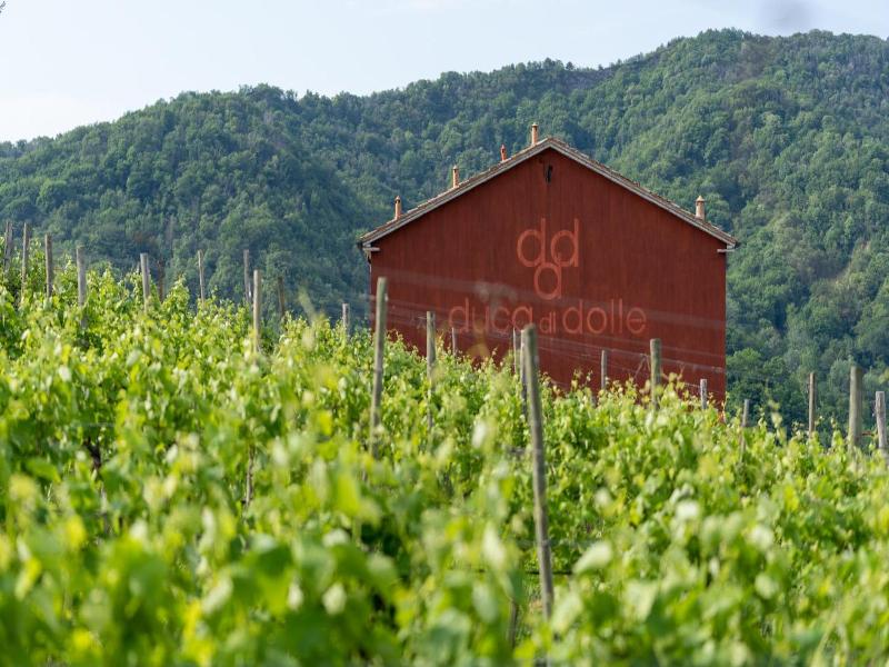 Relais Duca di Dolle image