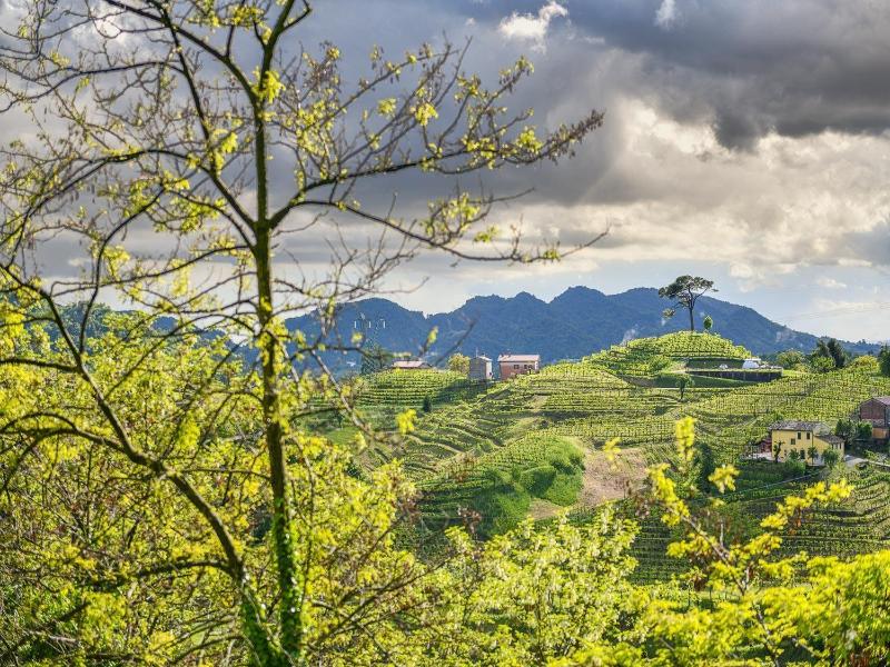 Relais Duca di Dolle image