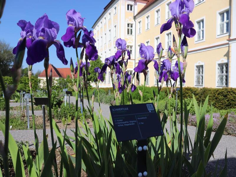 Kloster Gasthof Roggenburg image