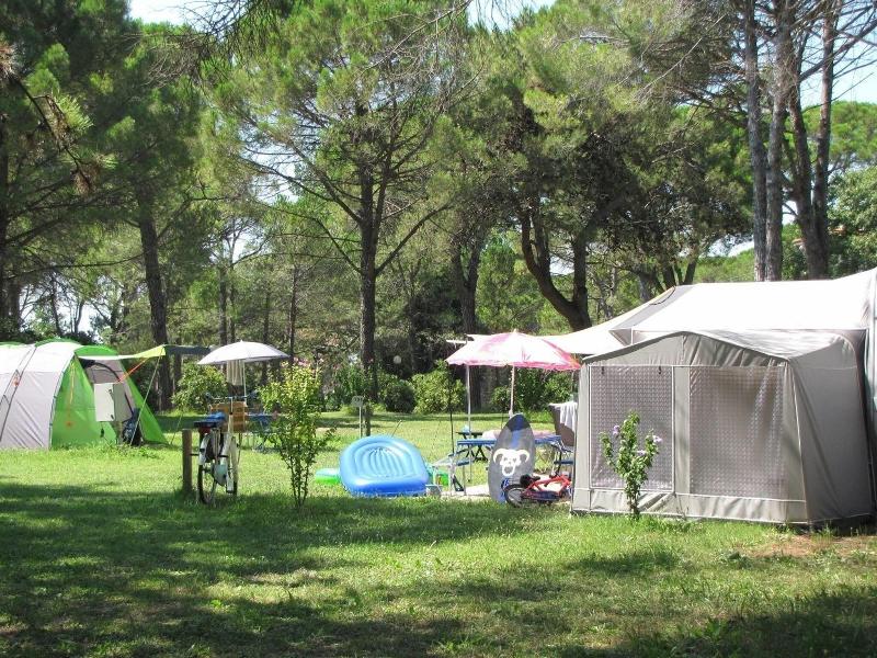 Camping Village Belvedere Pineta image