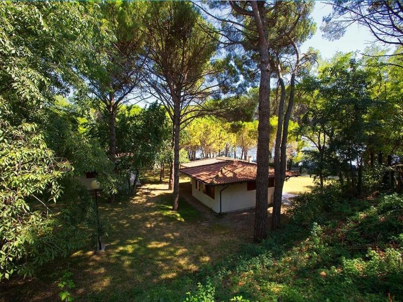 Camping Village Belvedere Pineta image
