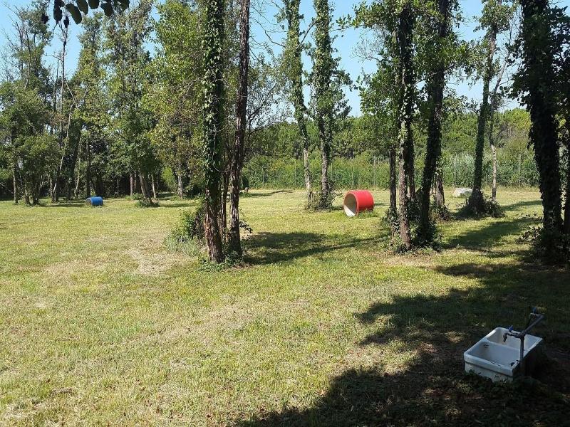 Camping Village Belvedere Pineta image