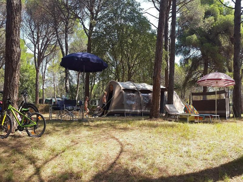 Camping Village Belvedere Pineta image