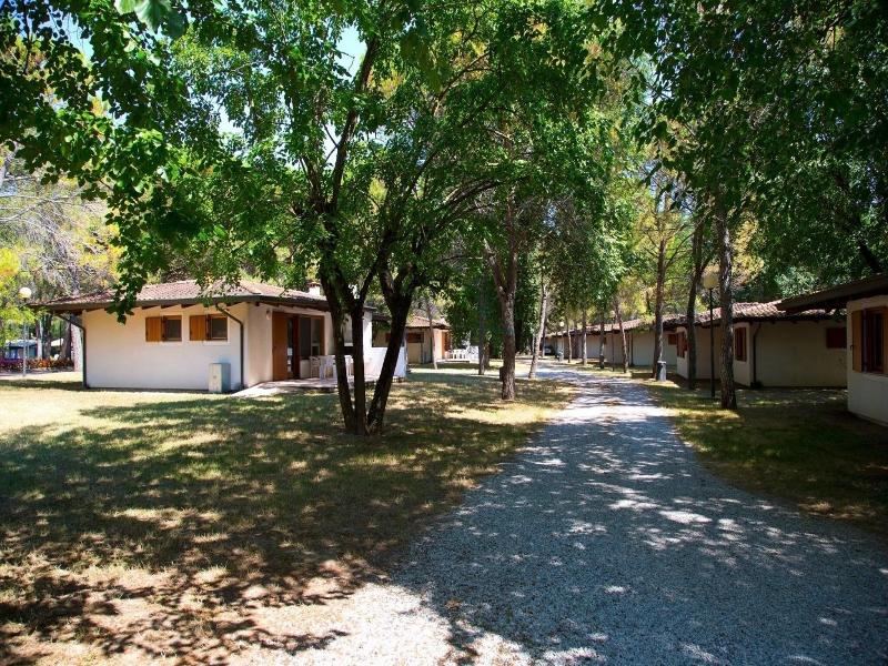 Camping Village Belvedere Pineta image