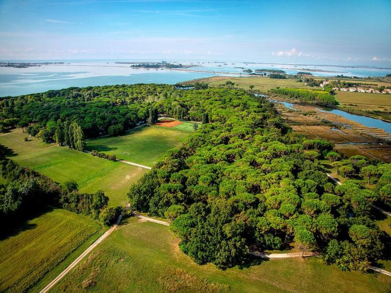 Camping Village Belvedere Pineta image