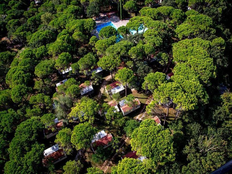 Camping Village Belvedere Pineta image