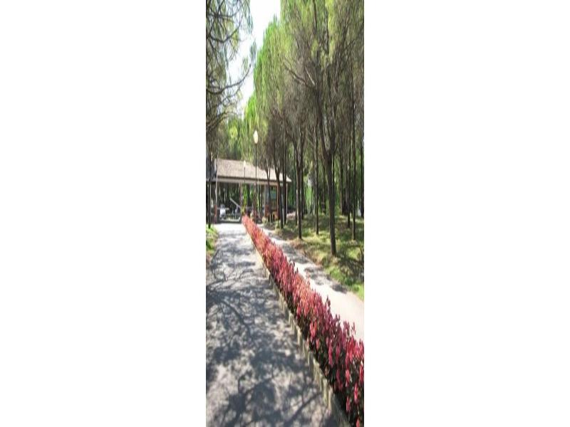 Camping Village Belvedere Pineta image