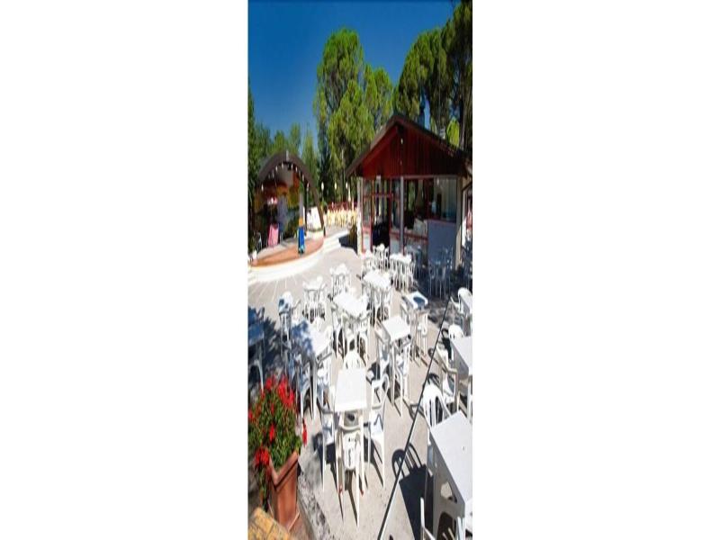 Camping Village Belvedere Pineta image