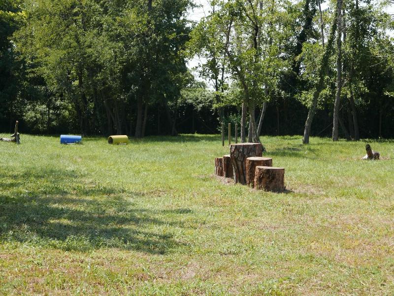 Camping Village Belvedere Pineta image