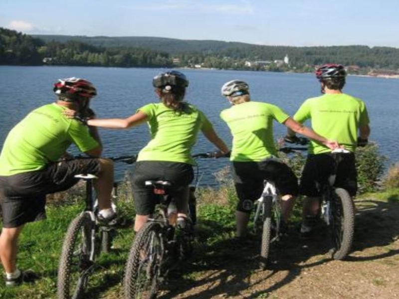 Action Forest Active image