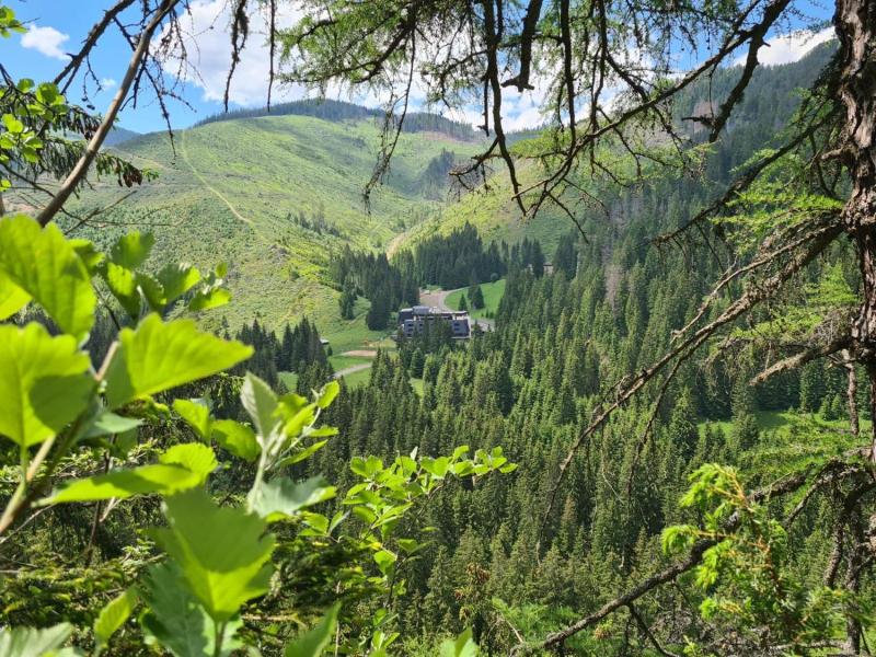 Repiska image