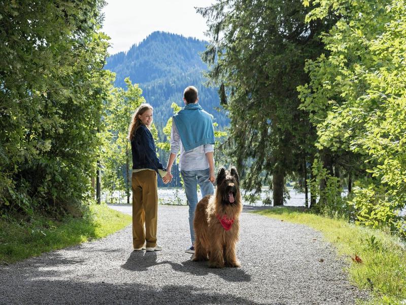 Arabella Alpenhotel am Spitzingsee image