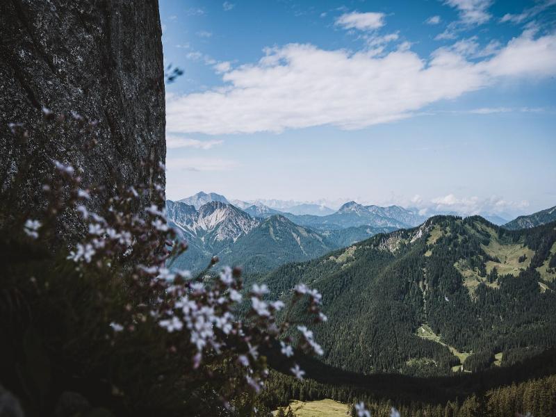 Arabella Alpenhotel am Spitzingsee image