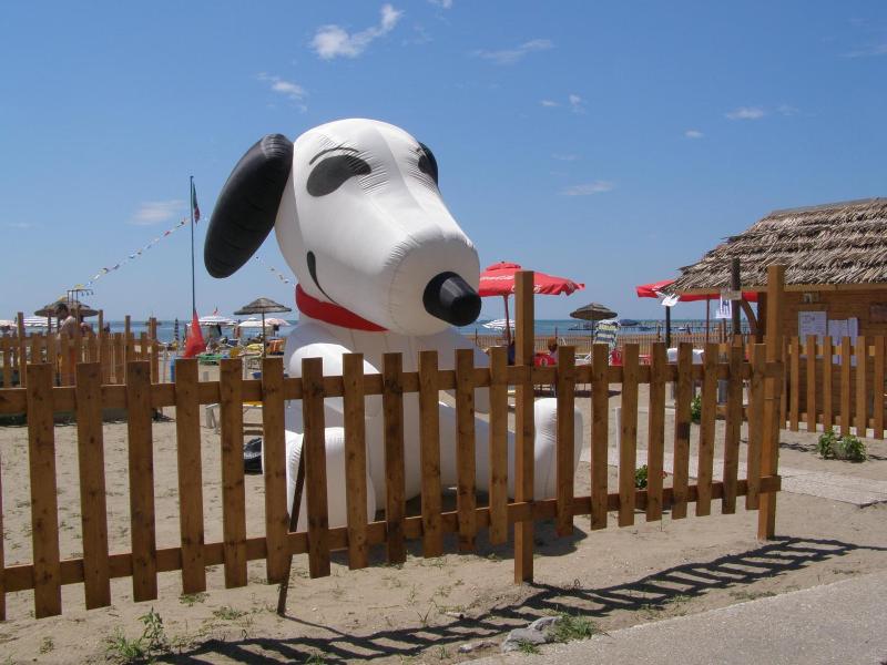 Ai Pini image