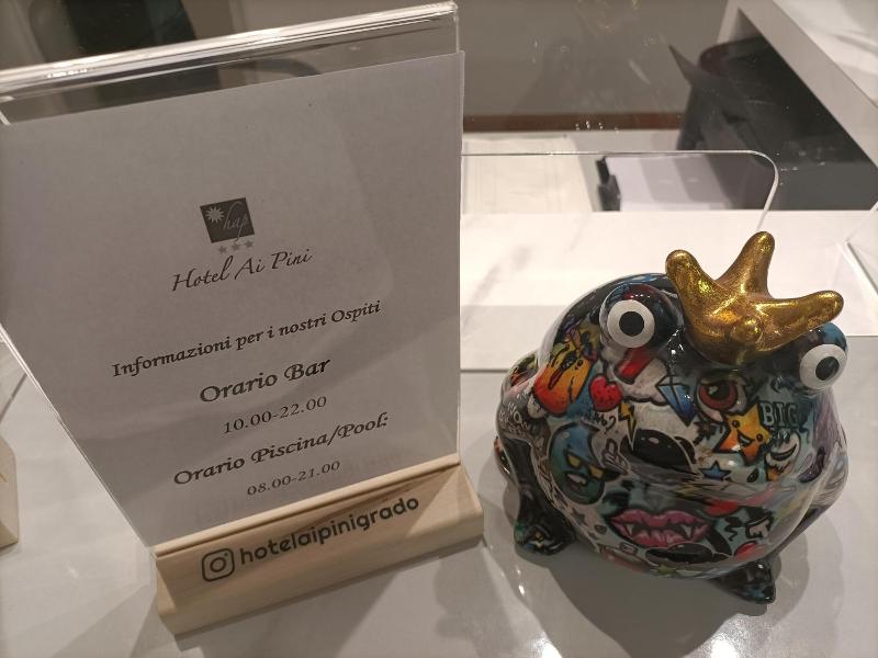 Ai Pini image