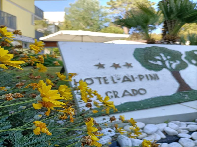 Ai Pini image
