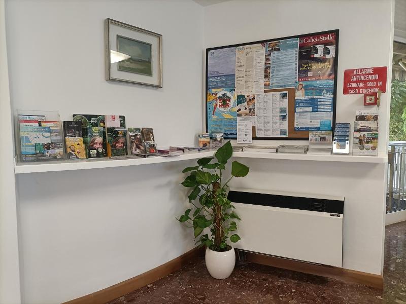 Ai Pini image