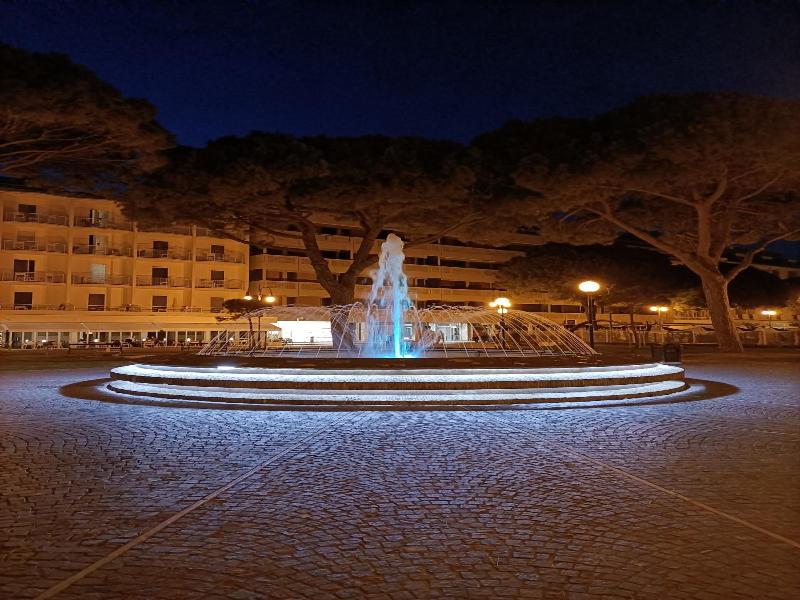Ai Pini image